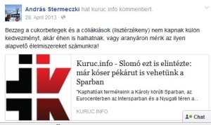 stermKuruc2013